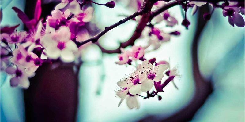 MYLZH58：人工智能浪潮下的技术探索与实践分享