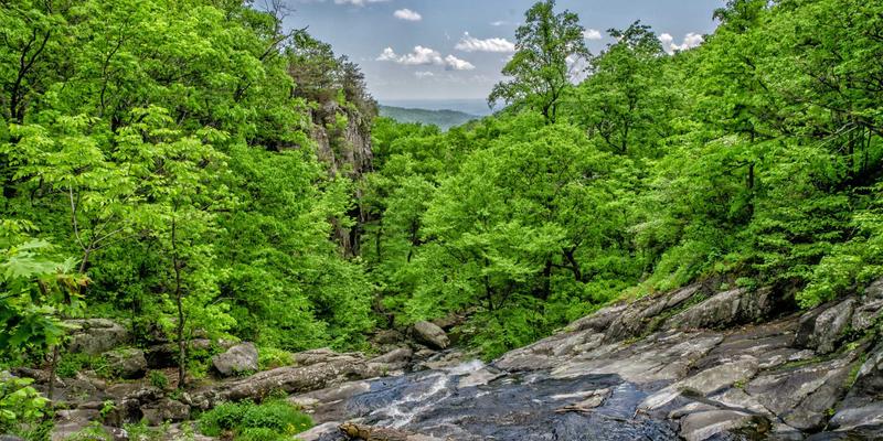 MYLZH72:当后端架构师遇见人工智能的技术融合实践