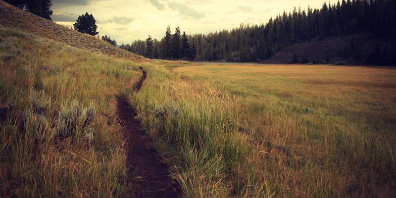 MYLZH95个人博客:一位开发者的技术沉淀与成长轨迹