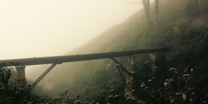 MYLZH产品质量控制体系解析：从前端到后端的全流程管理