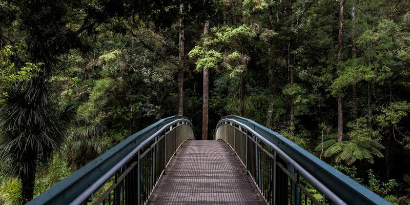 MYLZH后端编程实战指南:从入门到高效开发的完整技术分享