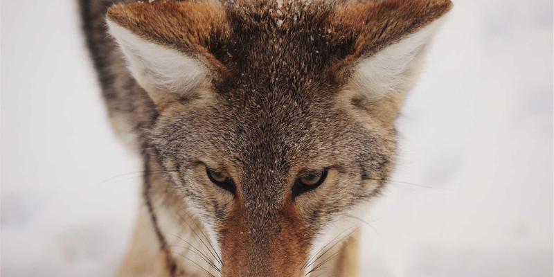 MYLZH应用:赛博朋克美学下的后端编程新范式