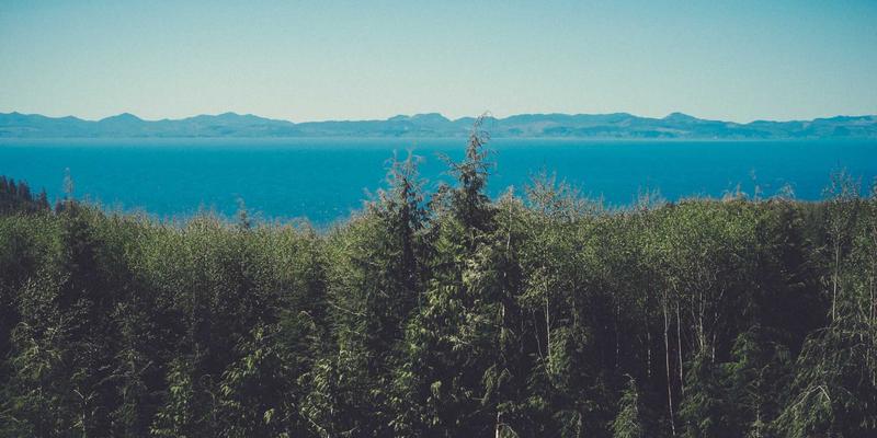 MYLZH框架在边缘计算场景下的后端架构设计与性能挑战：一份来自技术社区的深度分享