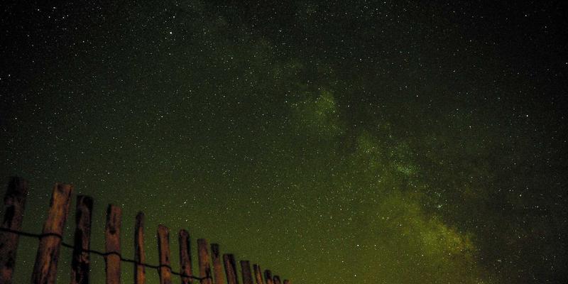 MYLZH进阶指南：从前端技术到社区生态的深度探索