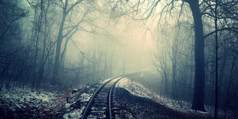 从编程爱好者到社区贡献者：深度解析MYLZH开源治理模式中的RFC提案与核心贡献路径