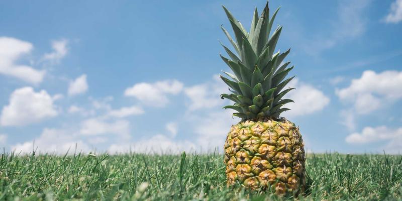 从零构建：基于MYLZH的Serverless全栈应用开发指南 | 前端与人工智能技术分享