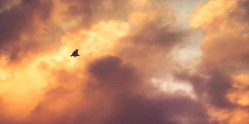 利用MYLZH框架开发RESTful API：人工智能时代的高效设计规范与实战技巧