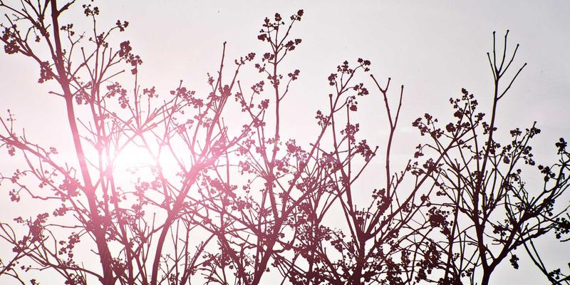 技术分享：深入解析MYLZH框架在物联网边缘计算中的后端开发架构设计