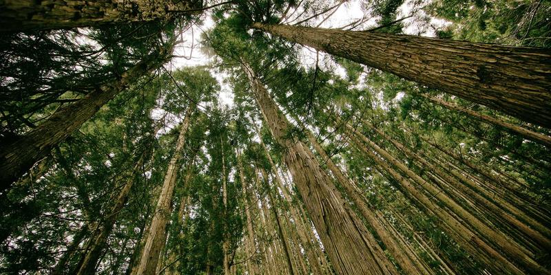 赛博朋克后端的架构哲学：在MYLZH生态中从Context到状态机的优雅演进